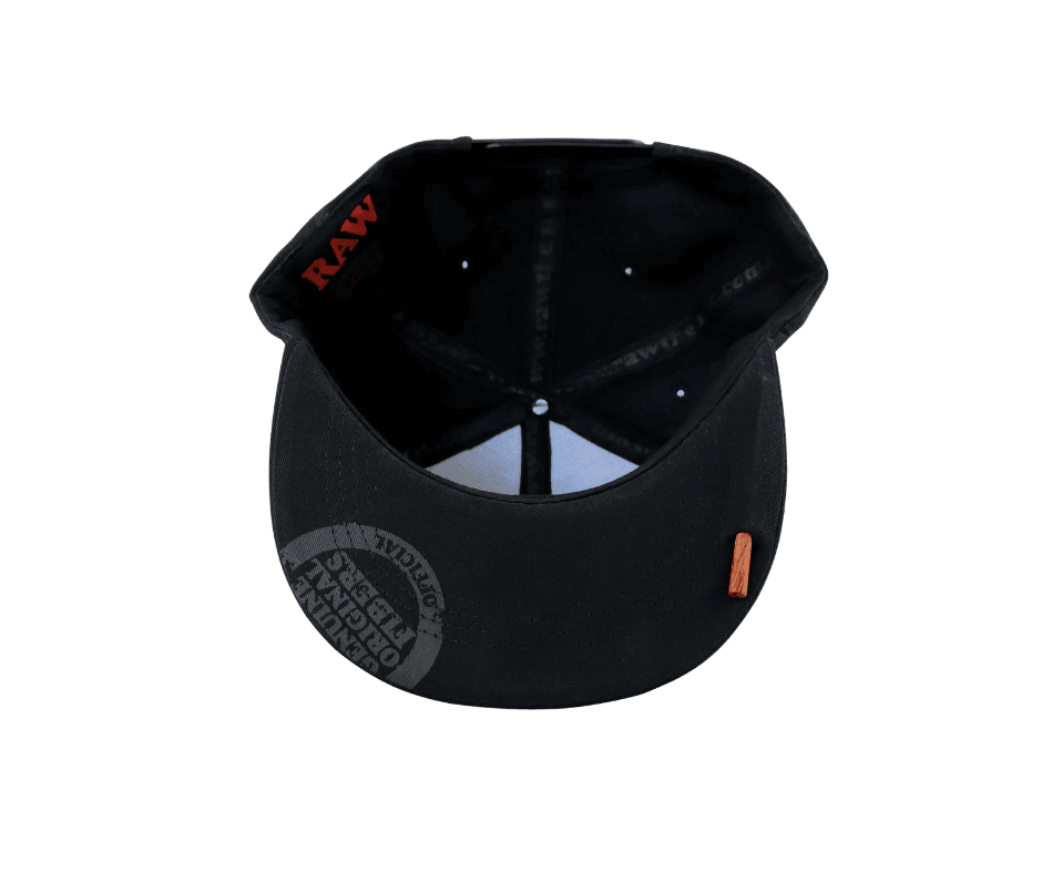 RAW Black on Black Baseball Lippis - Image 2