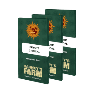 Barney’s Farm Peyote Critical siemenet