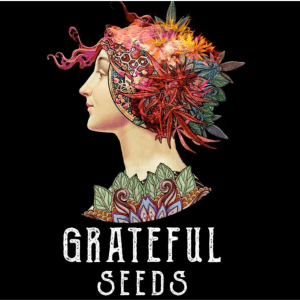 Grateful seeds Meat Grinder