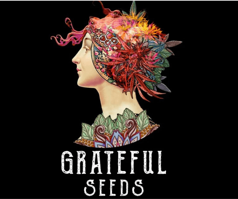 Grateful seeds Meat Grinder