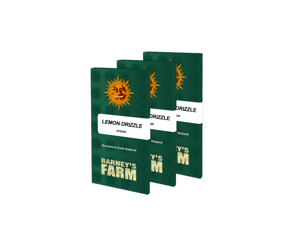 Barney’s Farm Lemon Drizzle – feminisoitu