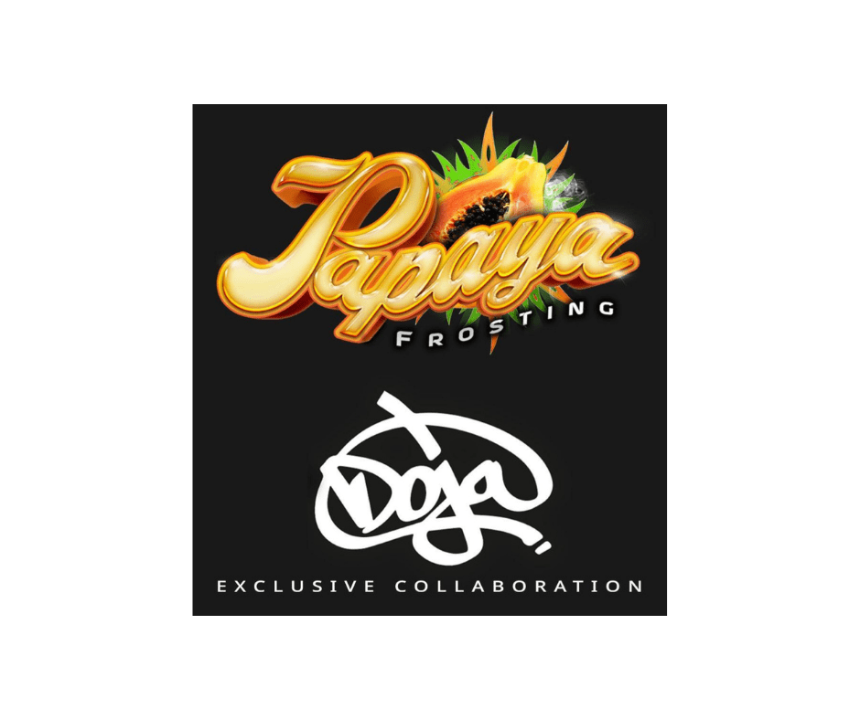 Barney’s Farm Papaya Frosting DOJA – feminisoitu
