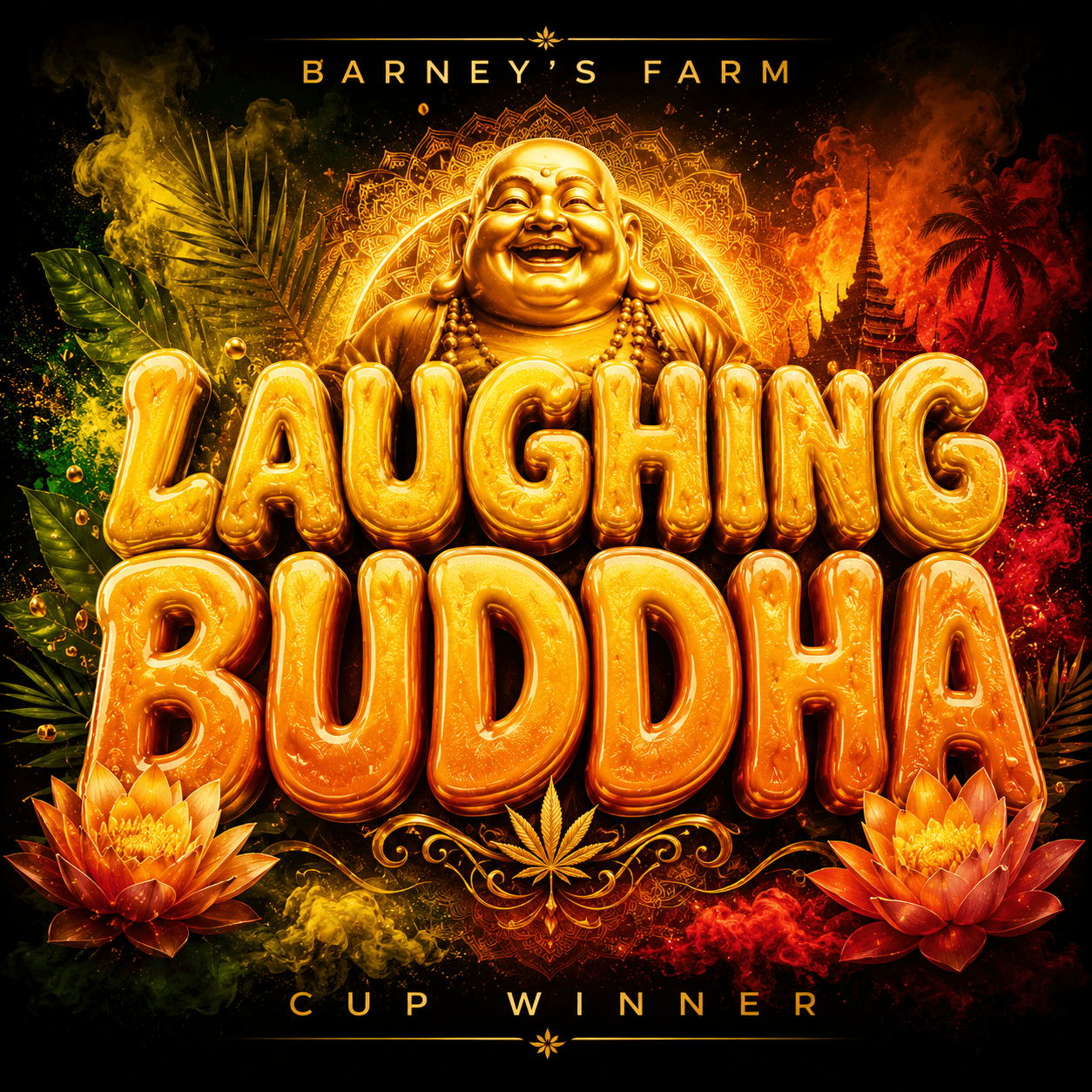 Barney’s Farm Laughing Buddha – feminisoitu