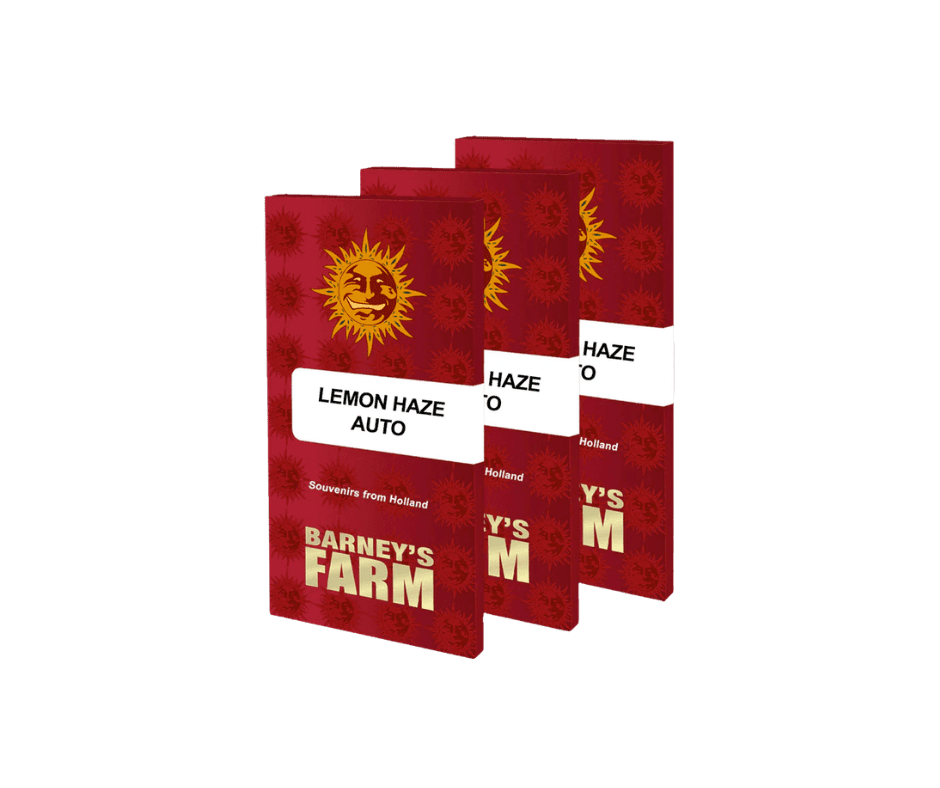 Barney’s Farm Lemon Haze Auto – autoflower