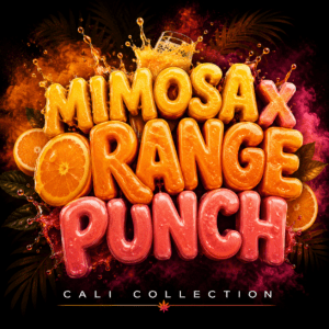 Mimosa x Orange Punch