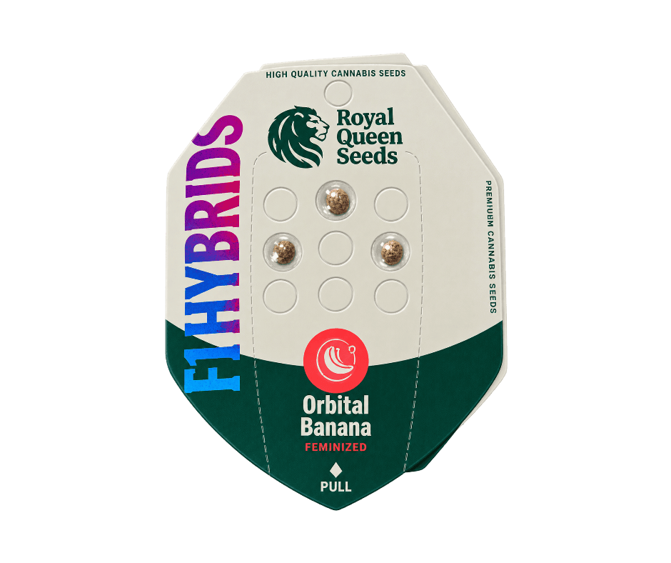 Royal Queen Seeds Orbital Banana F1