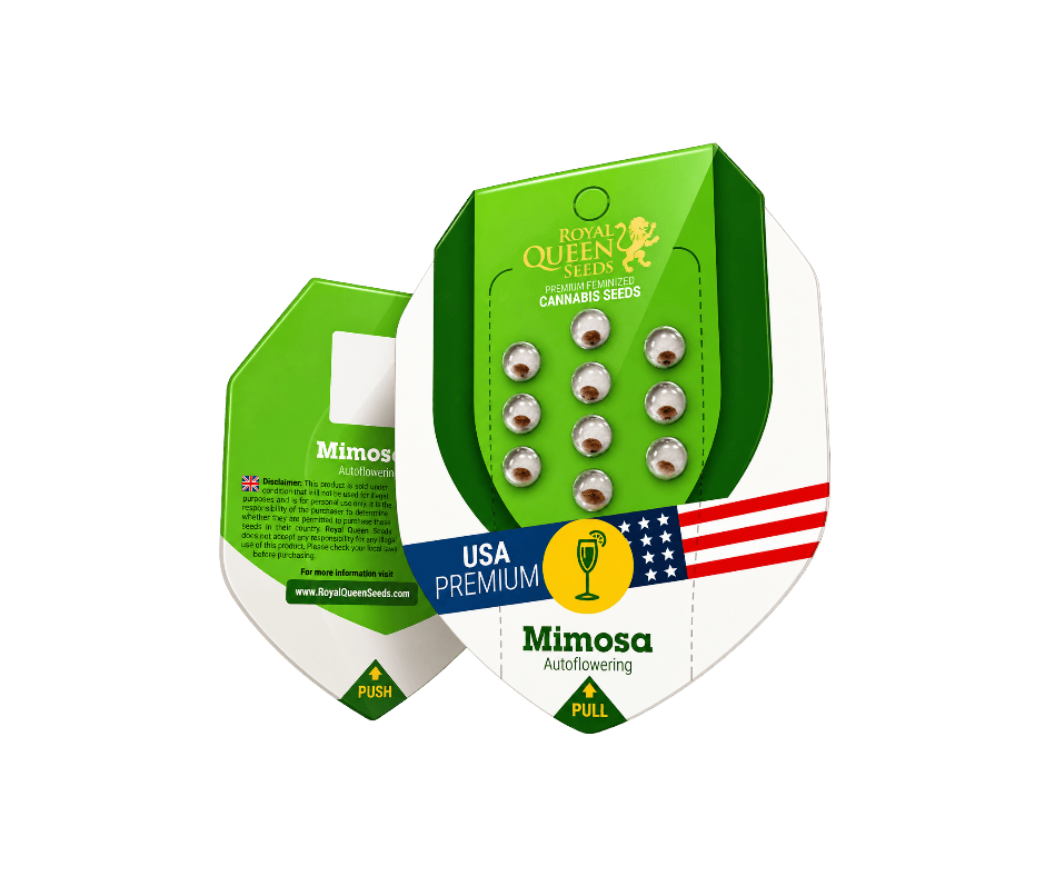 Royal Queen Seeds Mimosa Auto