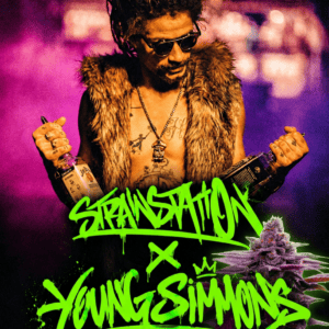 Strain Station Seeds Young Simmons feminisoidut siemenet 5 kpl