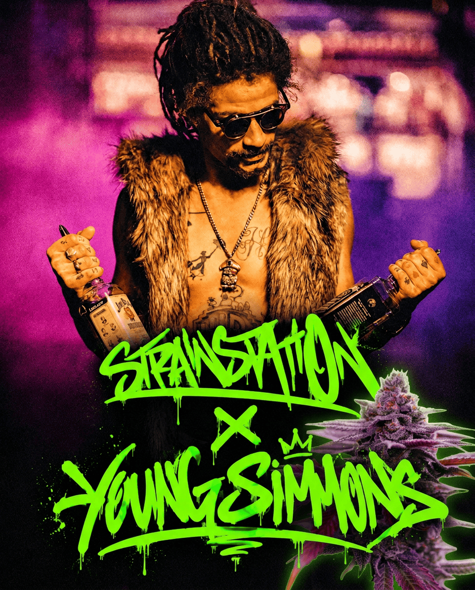 Strain Station Seeds Young Simmons feminisoidut siemenet 5 kpl